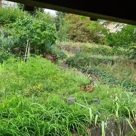 Maisonnette A 2 Pas De La Seine